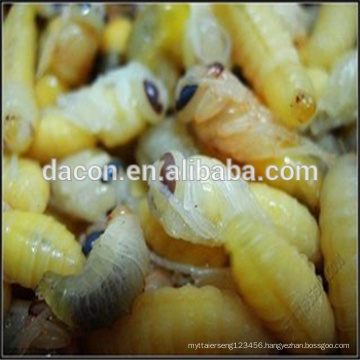 Lyophilized bee Larva Powder